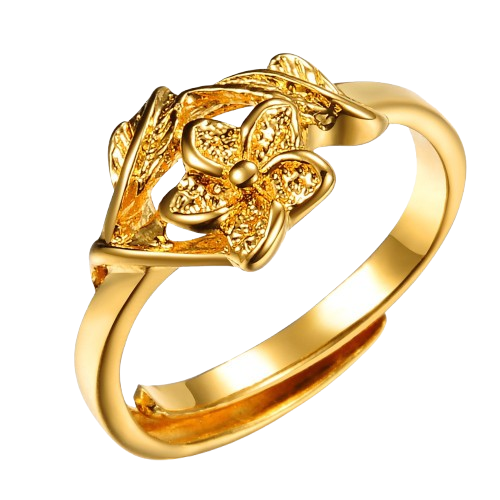 Gold Ring Image 1